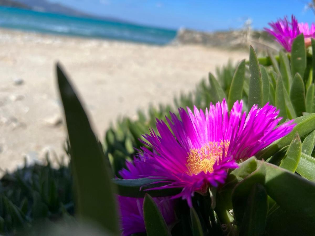 איסטרו Almira Sea View Appartment מראה חיצוני תמונה