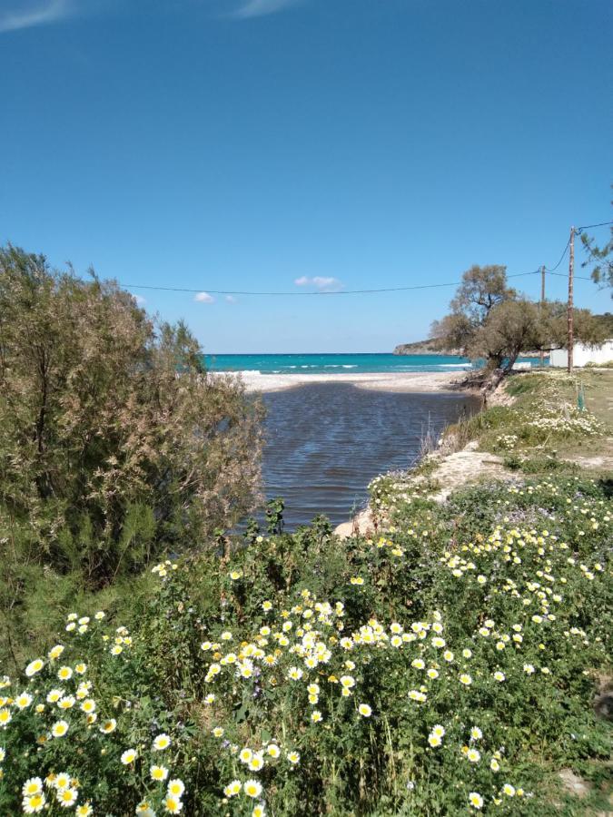 איסטרו Almira Sea View Appartment מראה חיצוני תמונה