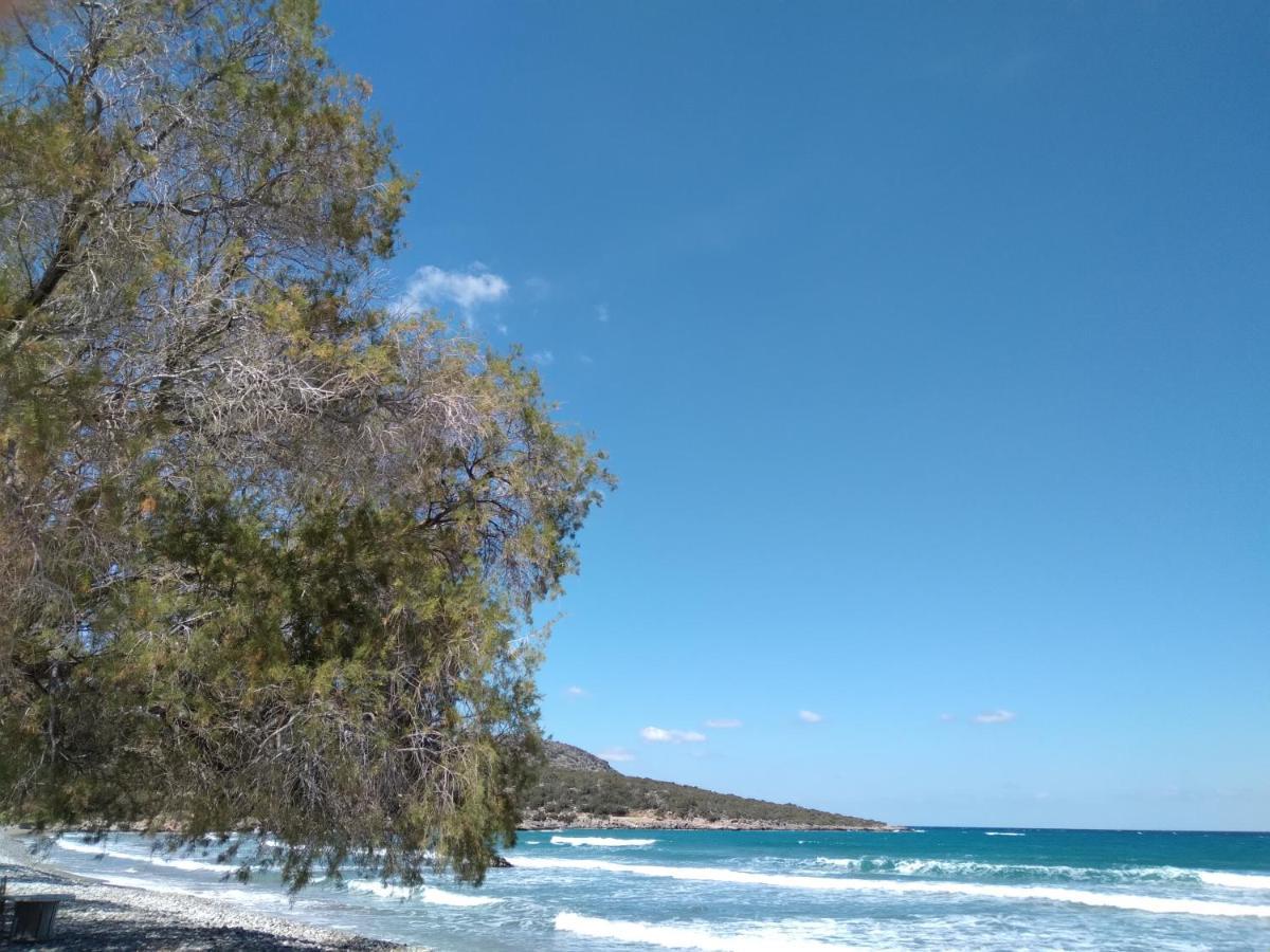 איסטרו Almira Sea View Appartment מראה חיצוני תמונה